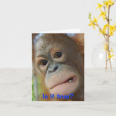 De grappige Gelukwensen van de Afstuderen van het Kaart (Gele Bloem)