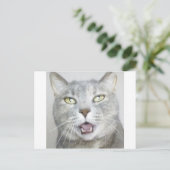 de grappige grijze miauw van de katten pluizige briefkaart (Staand voorkant)