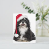 De grappige Hond van Havanese van Kerstmis met het Feestdagenkaart (Staand voorkant)