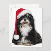 De grappige Hond van Havanese van Kerstmis met het Feestdagenkaart (Voorkant / Achterkant)