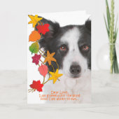 De grappige Kaart van de Thanksgiving van Border (Voorkant)