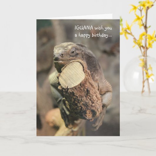 De grappige Kaart van de Verjaardag, het dutten (Gele Bloem)