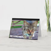 De grappige Kaart van de Verjaardag van de Kat (Voorkant)