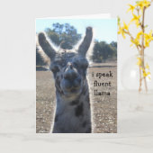De grappige Kaart van de Verjaardag van de Lama, (Gele Bloem)
