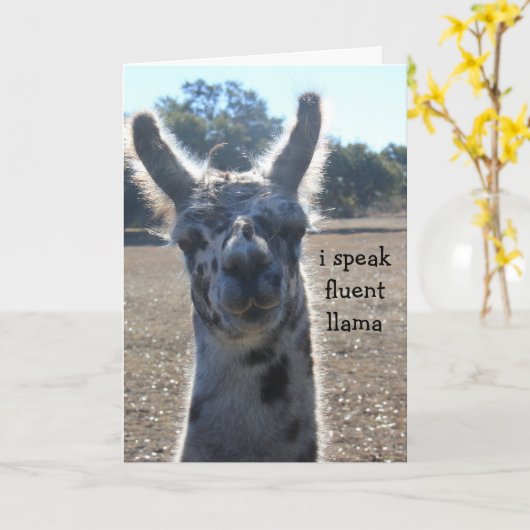 De grappige Kaart van de Verjaardag van de Lama, (Gele Bloem)