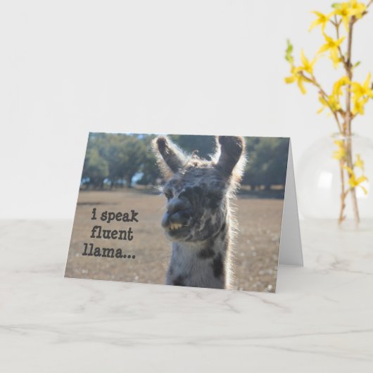 De grappige Kaart van de Verjaardag van de Lama, (Gele Bloem)