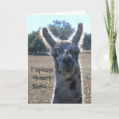 De grappige Kaart van de Verjaardag van de Lama, (Voorkant)