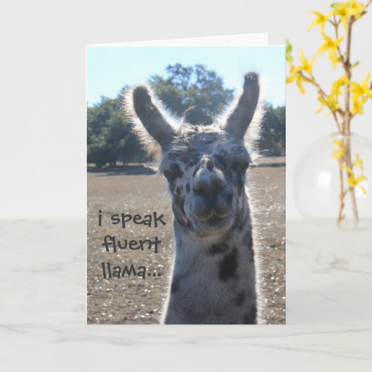 De grappige Kaart van de Verjaardag van de Lama, (Gele Bloem)