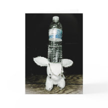 De grappige Kaart van de Verjaardag van het