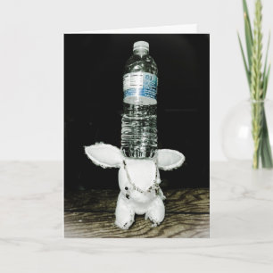 De grappige Kaart van de Verjaardag van het