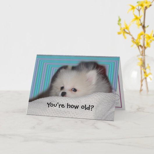 De grappige Kaart van de Verjaardag van het Puppy (Gele Bloem)