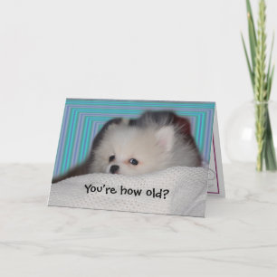 De grappige Kaart van de Verjaardag van het Puppy