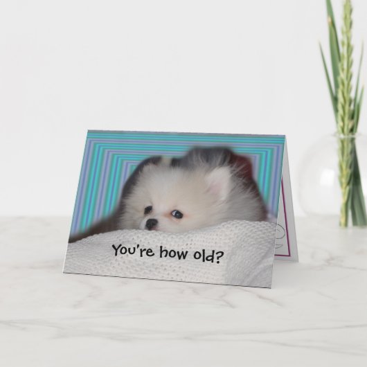 De grappige Kaart van de Verjaardag van het Puppy (Voorkant)