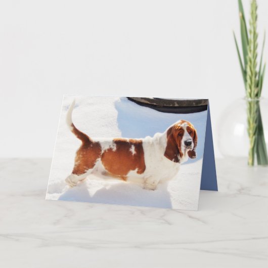 De grappige Kaart w/Beautiful Basset Hound van de (Voorkant)