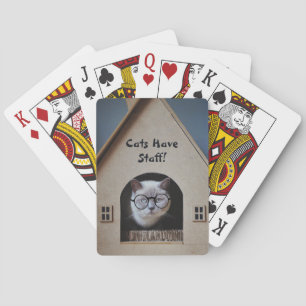 De grappige kat die bril draagt katten hebben het  pokerkaarten