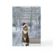 De grappige kat van Kerstmis