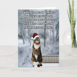 De grappige kat van Kerstmis Feestdagen Kaart