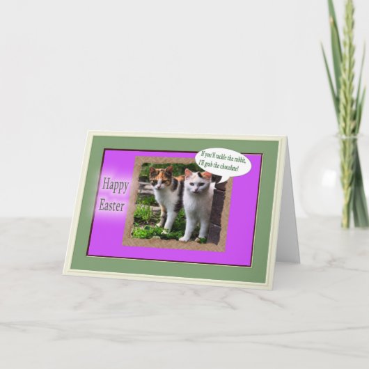 De grappige Katten bedreigen de Paashaas Feestdagen Kaart (Voorkant)
