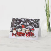 De grappige Katten van het Kat van Kerstmis Feestdagen Kaart (Voorkant)
