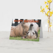 De grappige leuke kaart van windhondgroeten (Gele Bloem)