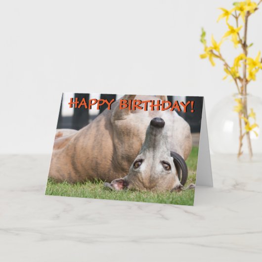 De grappige leuke kaart van windhondgroeten (Gele Bloem)