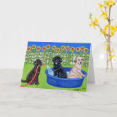 De grappige Partij Labradors van de Pool Kaart (Gele Bloem)