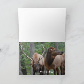 De grappige prettige feestdagen (plural:) Elanden Kaart (Binnen)