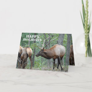 De grappige prettige feestdagen (plural:) Elanden Kaart