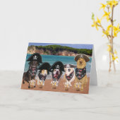 De grappige van Honden 19 Verjaardag van September Kaart (Gele Bloem)