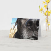 De grappige verjaardag van de Hond Kaart (Gele Bloem)