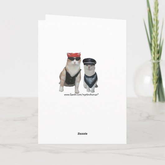 De grappige Verjaardag van de Kat van de Fietser Kaart (Achterkant)