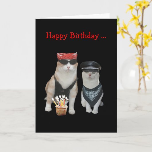 De grappige Verjaardag van de Kat van de Fietser Kaart (Gele Bloem)