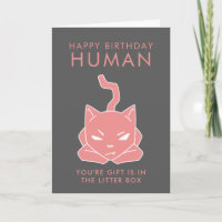 De grappige Verjaardag van de Minnaars van de Kat