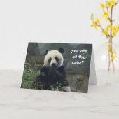 De grappige Verjaardag van de Panda, geen cake? Kaart (Gele Bloem)
