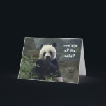 De grappige Verjaardag van de Panda, geen cake? Kaart<br><div class="desc">De grappige Verjaardag van de Panda, geen cake? BAMBOOzled!</div>