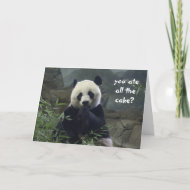 De grappige Verjaardag van de Panda, geen cake? Kaart