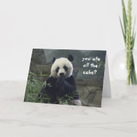 De grappige Verjaardag van de Panda, geen cake?