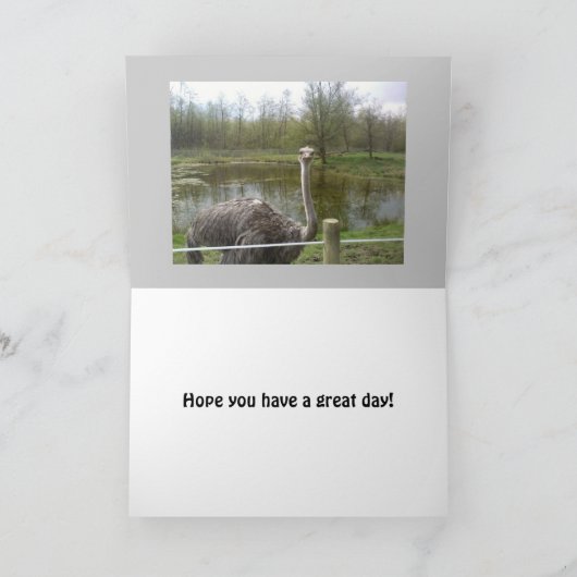 De grappige Verjaardag van de Struisvogel Kaart (Binnen)