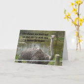 De grappige Verjaardag van de Struisvogel Kaart (Gele Bloem)