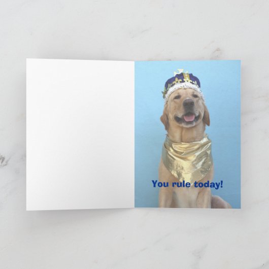 De Grappige Verjaardag van het mannetje/van de Kaart (Binnen)