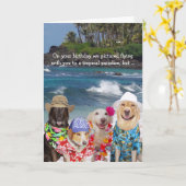 De grappige Verjaardag van Honden voor iedereen Kaart (Gele Bloem)