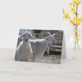 De grappige Westerne Geit van Gelukwensen Kaart (Gele Bloem)