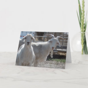 De grappige Westerne Geit van Gelukwensen Kaart