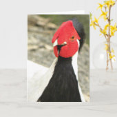 De grappige ZILVEREN FAZANT van de Verjaardag Kaart (Gele Bloem)