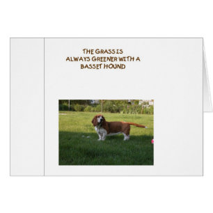 DE GRAS IS GROENTER MET EEN BASET HOUND
