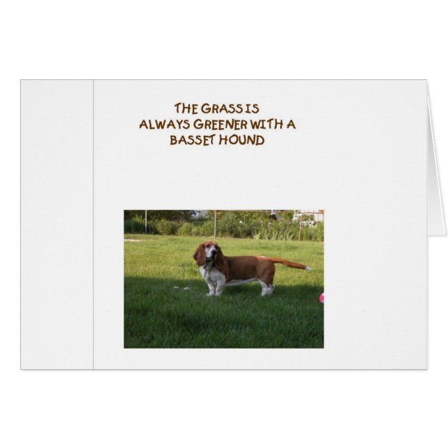 DE GRAS IS GROENTER MET EEN BASET HOUND (Voorkant Horizontaal)