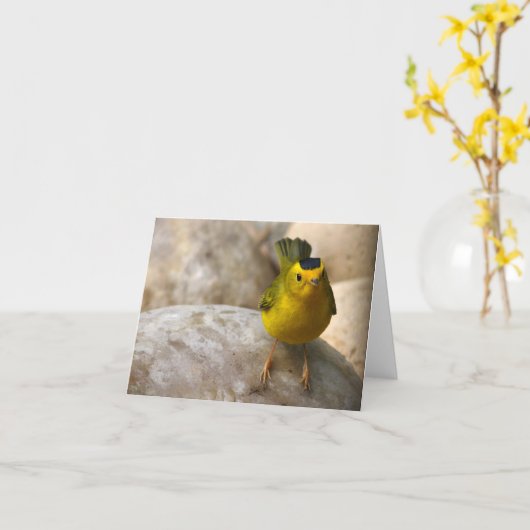 De Grasmus van Wilson - Joe Sweeney - kaart (Gele Bloem)