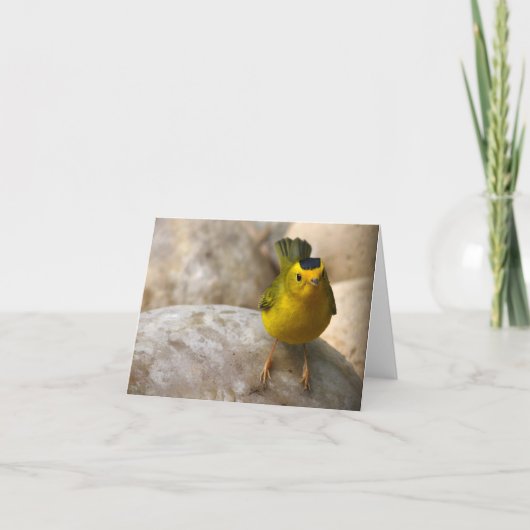 De Grasmus van Wilson - Joe Sweeney - kaart (Voorkant)