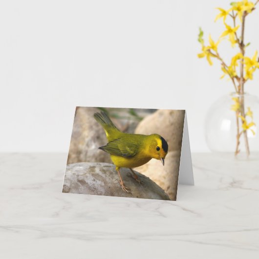 De Grasmus van Wilson - Joe Sweeney - kaart (Gele Bloem)