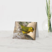 De Grasmus van Wilson - Joe Sweeney - kaart (Voorkant)